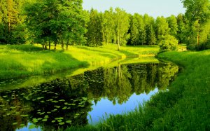 Обои для рабочего стола: River