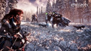 Обои для рабочего стола: horizon zero dawn