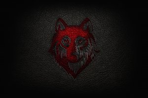 Обои для рабочего стола: Wolf