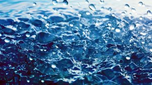 Обои для рабочего стола: Капли воды
