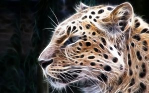 Обои для рабочего стола: Фрактальный портрет ...