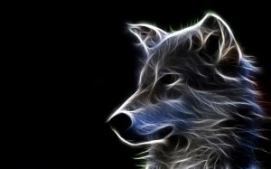 Обои для рабочего стола: Wolf