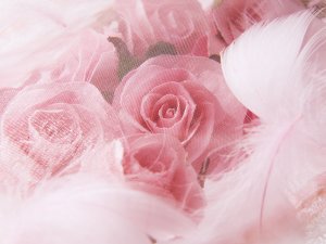 Обои для рабочего стола: Под вуалью