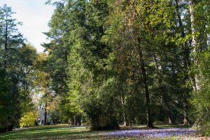 Обои для рабочего стола: USA Parks Longwood G...