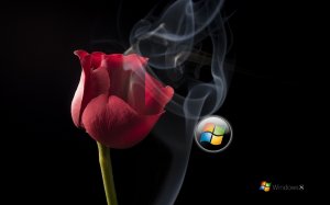 Обои для рабочего стола: Windows 8