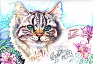 Обои для рабочего стола: Кот на холсте