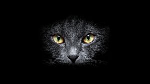 Обои для рабочего стола: Из темноты
