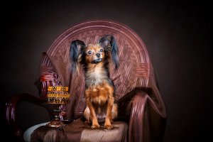 Обои для рабочего стола: Русская игрушка