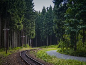 Обои для рабочего стола: Железная дорога в ле...