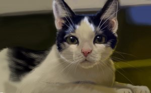Обои для рабочего стола: Нарисованный котик
