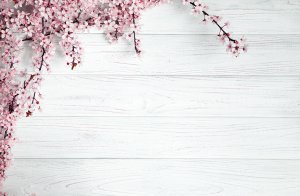 Обои для рабочего стола: Цветы на столе