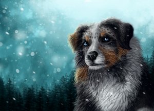 Обои для рабочего стола: Нарисованный пес