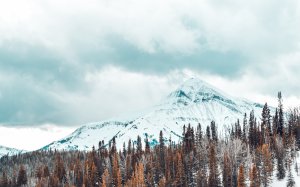 Обои для рабочего стола: Снежная вершина
