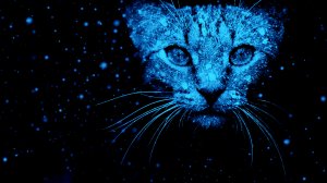 Обои для рабочего стола: Кот в снегу