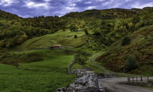 Обои для рабочего стола: Леса и луга в Испани...