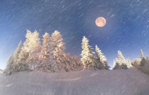Обои для рабочего стола: Белая зимняя ночь