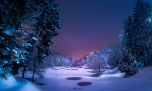 Обои для рабочего стола: Ночные краски