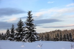 Обои для рабочего стола: Зимнее небо