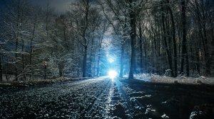 Обои для рабочего стола: Зимняя дорога