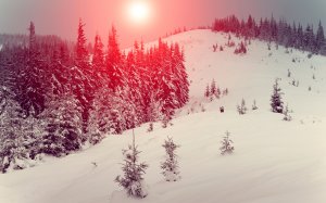 Обои для рабочего стола: Алый зенит