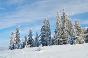 Обои для рабочего стола: Зимний пейзаж