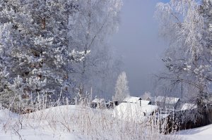 Обои для рабочего стола: Все в снегу