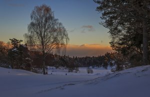 Обои для рабочего стола: Зима в глубинке