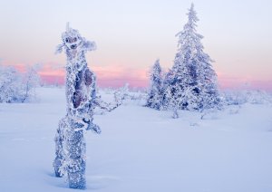 Обои для рабочего стола: Зимние фигуры