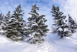 Снежные дороги - скачать обои на рабочий стол