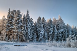 Обои для рабочего стола: Зимние просторы