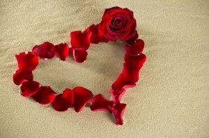 Обои для рабочего стола: Сердце из лепестков ...