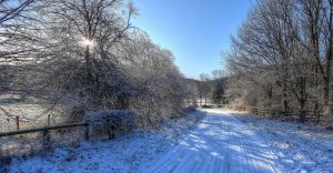 Обои для рабочего стола: Утро за городом