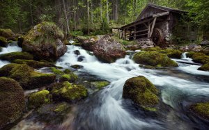 Обои для рабочего стола: Лесная река и водяна...