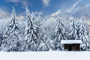 Обои для рабочего стола: Хижина в зимнем лесу