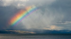 Радуга после дождя - скачать обои на рабочий стол