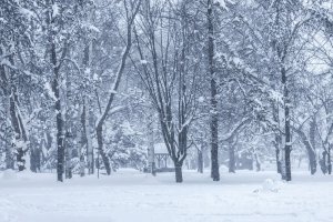 Замело снегом - скачать обои на рабочий стол